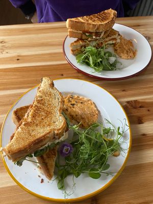 Palembang toastie (10000% recommend) at The Hedgerow Hound in Plymouth