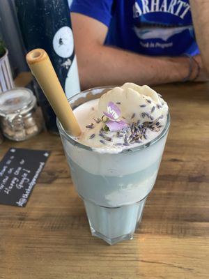 Plymouth iced fog at The Hedgerow Hound in Plymouth