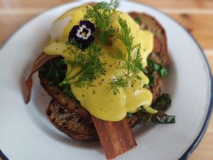 Beautiful yummy food. at The Hedgerow Hound in Plymouth