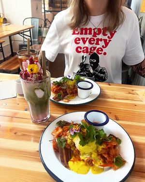  at The Hedgerow Hound in Plymouth