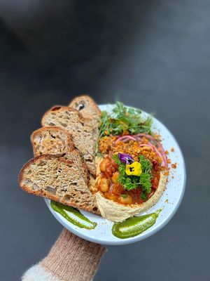  at The Hedgerow Hound in Plymouth