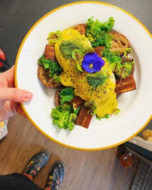  at The Hedgerow Hound in Plymouth