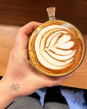  at The Hedgerow Hound in Plymouth