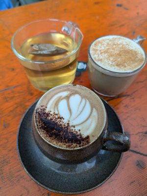  at The Hedgerow Hound in Plymouth