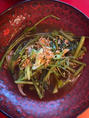 Morning Glory at Mi-Yao in Amersfoort