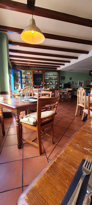  at Blooming Cactus in Lanzarote