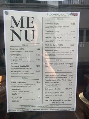   at Blooming Cactus in Lanzarote