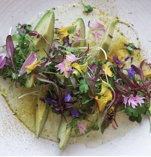   at Assisted by Nature in South West London