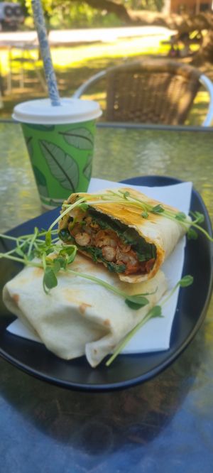 Vegan breakfast burrito and Mango smoothie at Ivanhoe Cafe in Kununurra