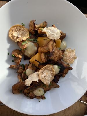 Hedgehog mushrooms   at Tero in Brussels