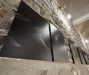   at El Petit Vegà d'en Pep i la Laura in Tavertet