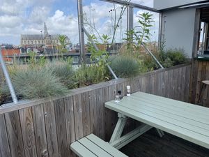 View at DeDAKKAS in Haarlem