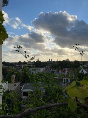  Vieuw at DeDAKKAS in Haarlem