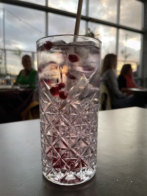 Drinks at DeDAKKAS in Haarlem