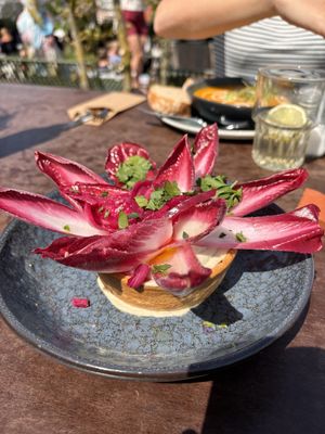 Vegan uientaartje : heerlijk!!  at DeDAKKAS in Haarlem