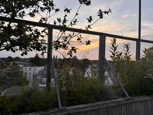 zo'n  at DeDAKKAS in Haarlem