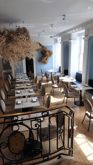 Interior at Holy Carrot in London