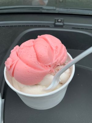 Nondairy (and vegan)- strawberry, vanilla, and almond joy in a cup.  at Jordan's Ice Creamery in Belmont