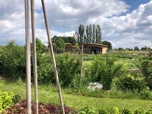 Beautiful garden where your veggies are coming from.  at Kiemkracht 64 in Malden