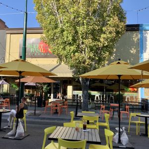 Great place for vegan at Sweet Basil Pizzeria in Walla Walla