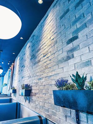   at Pita 22 in San Diego