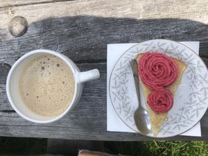 Vegan ”sockerkaka” and coffee with oat milk   at Frostbrunnsdalen in Borlaenge