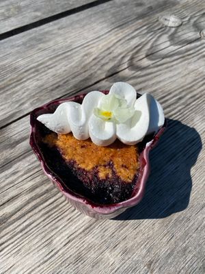 Vegan blueberry pie - godlike. at Frostbrunnsdalen in Borlaenge