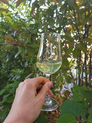 Homemade limoncello at Terra Rossa in Vienna