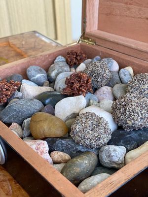 Vegane Süßigkeiten als krönender Abschluss at The Glass Garden in Salzburg