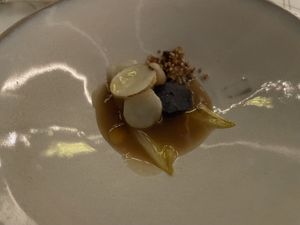   at The Glass Garden in Salzburg