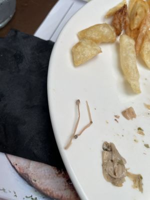   at Hobson's Fish & Chips in London