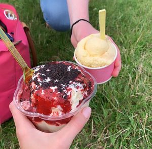 Vegan Spaghetti ice cream and sorbet  at Der Eismacher in Bremen