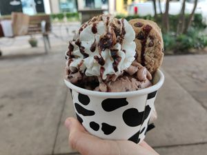 The Not Milk bowl - learn from my mistake, don't let your cookie drop, eat it first! at The Yard Milkshake Bar of Austin in Austin
