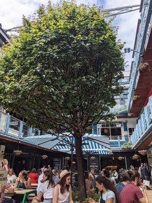 Courtyard at Club Mexicana - Soho in London