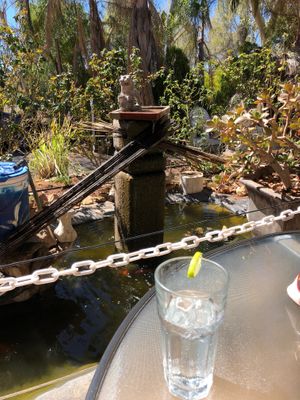 A pond with a fountain is a nice touch.  at Tinh & Lan Alice Vietnamese in Connellan