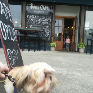 Boho Cafe entrance, with outdoor seating at Boho Cafe in Palmerston North