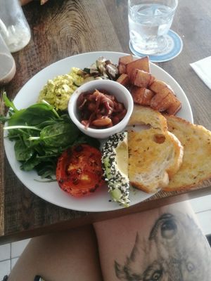 Hungry herbivore at Ebb and Flow Darwin in Larrakeyah