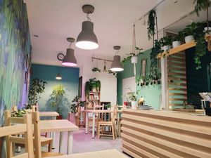  at Van Groch in Krakow