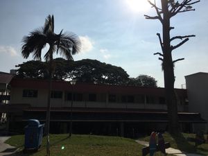 Inside Coffeeshop  at Xian Long Vegetarian in Northeast Singapore