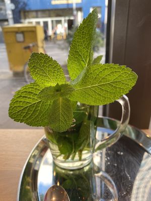 Mint tea! Lots of mint!!  at Dominion Food Revolution in Frankfurt