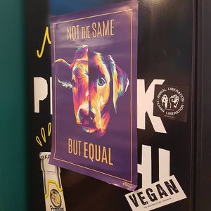 Ein Sticker  #Veganuary at Dominion Food Revolution in Frankfurt