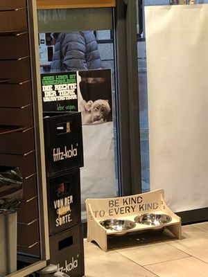 Adorable doggie water/food area at Dominion Food Revolution in Frankfurt