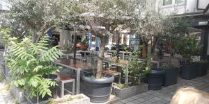 Olive oasis in the middle of the city at Dominion Food Revolution in Frankfurt