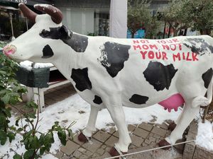 Not your mom, Not your milk! #Veganuary at Dominion Food Revolution in Frankfurt