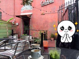 patio at Satsuma Cafe - Dauphine St in New Orleans