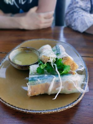 tofu fresh spring rolls at Herr Dang in Potsdam