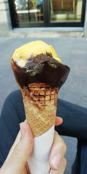 Excellent vegan dark chocolate! And other several vegan choices😄 at Gelateria Borsieri in Milan