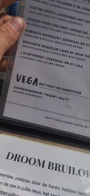  at Aloha Beach in Vrouwenpolder