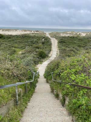   at Aloha Beach in Vrouwenpolder