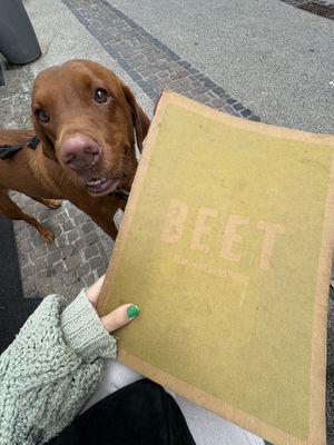   at Seed in Luxembourg City